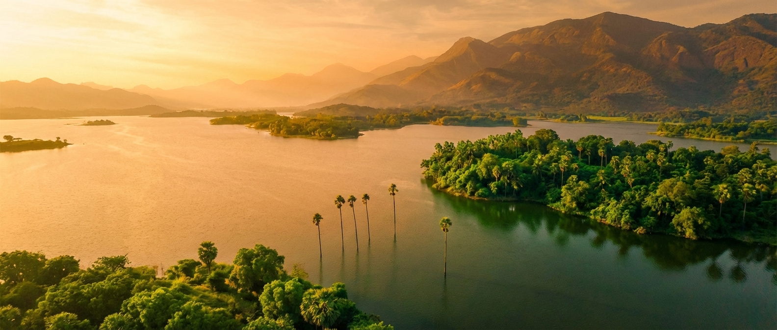 Forest Resort Background